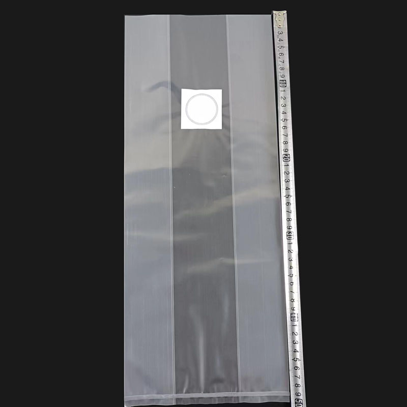 Mushroom Filter Bag